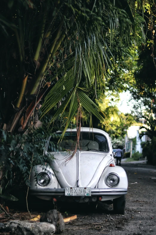 an old volkswagen beetle parked on the side of a road next to trees