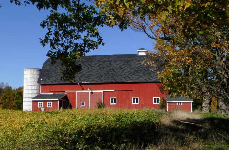 a barn next to a tree in an open field