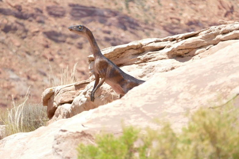 a small dinosaur is climbing the side of a mountain