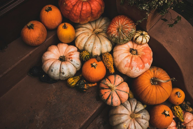 pumpkins and squash in a pile on a step