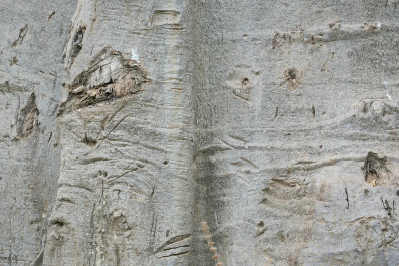 an old wooden surface with many little scratches