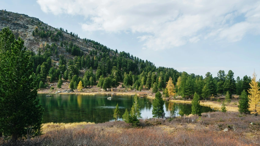 a mountain, lake and forest are pictured in this image