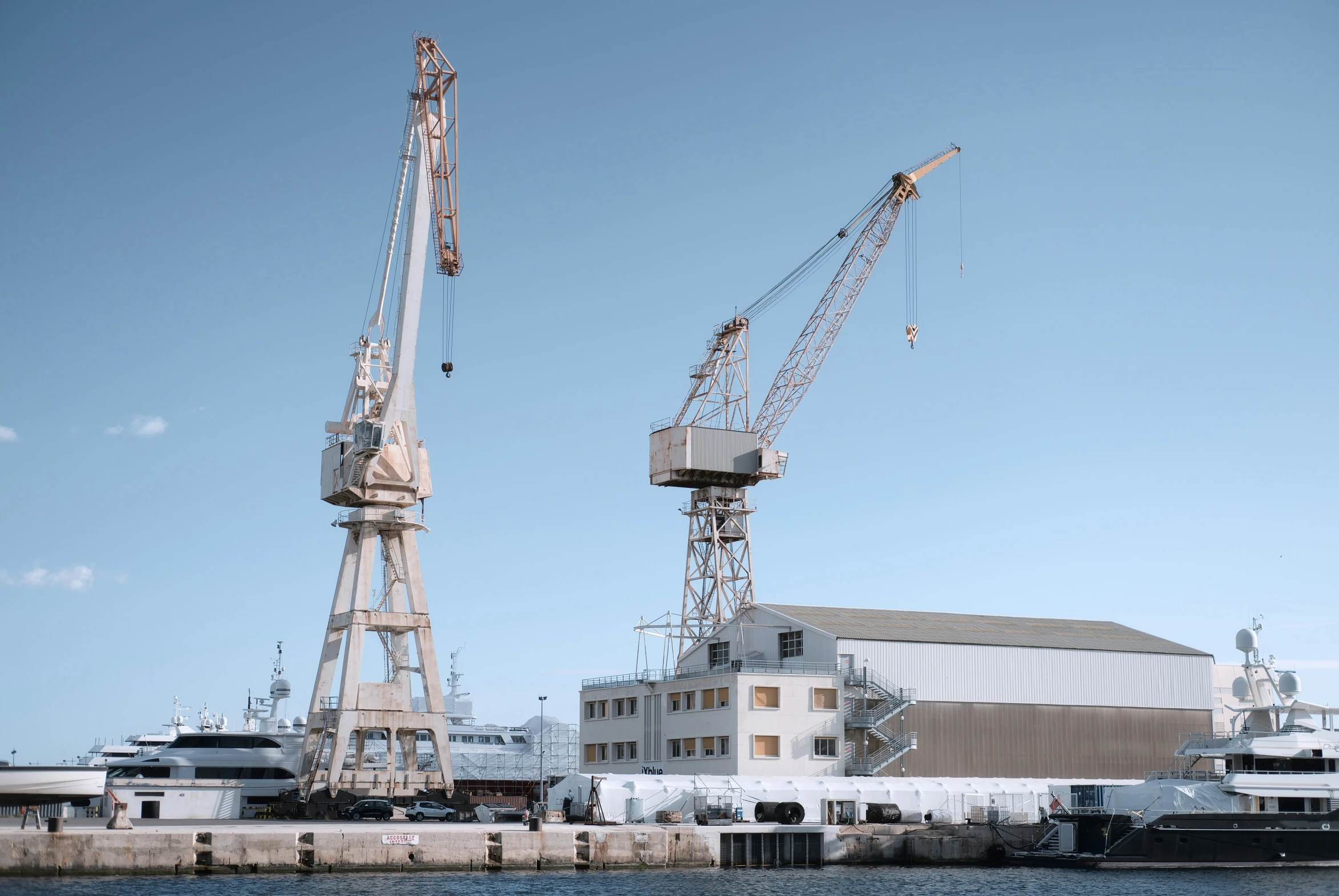 a crane that is standing on a beach