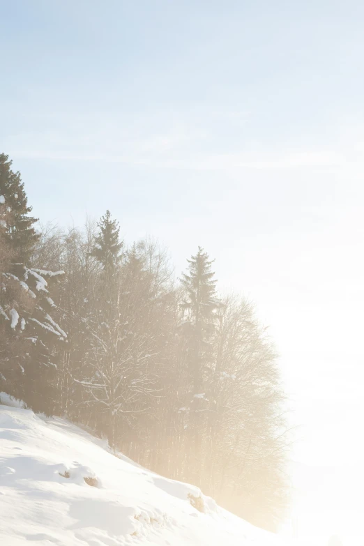 a person is snowboarding on a snowy mountain