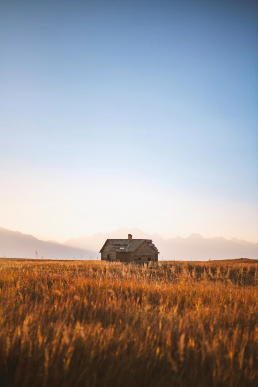 a farmhouse stands out in a field of tall grasses