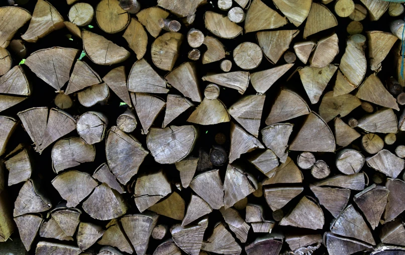 a group of chopped wood is displayed in this picture