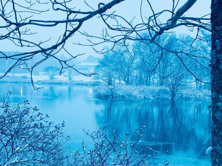 a blue image is shown with snow on the ground and trees