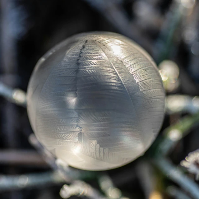a crystal ball on the top of some nches