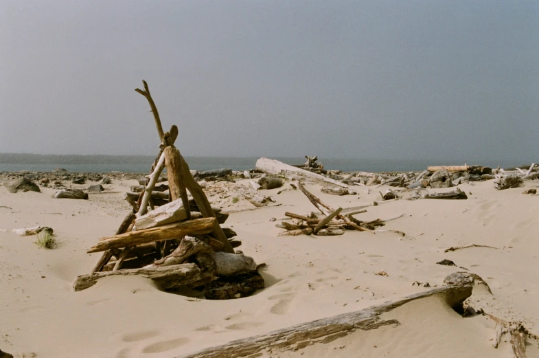 a pile of sticks and some debris on the beach