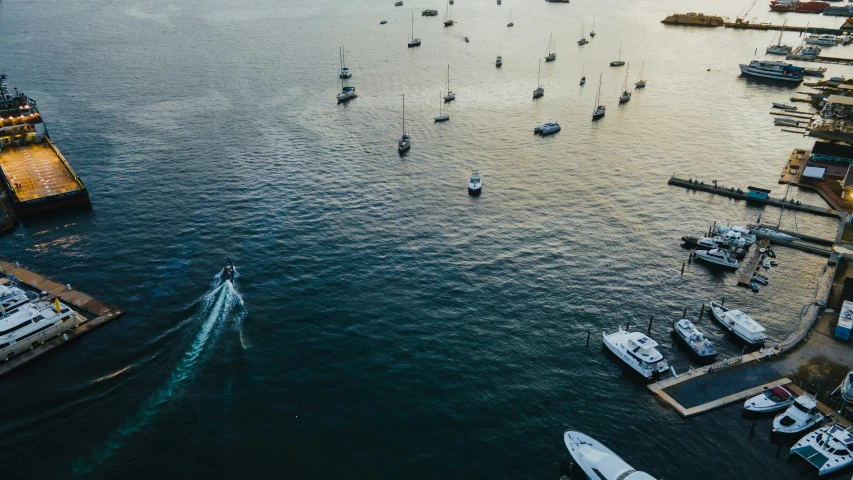 the water is very calm and full of boats