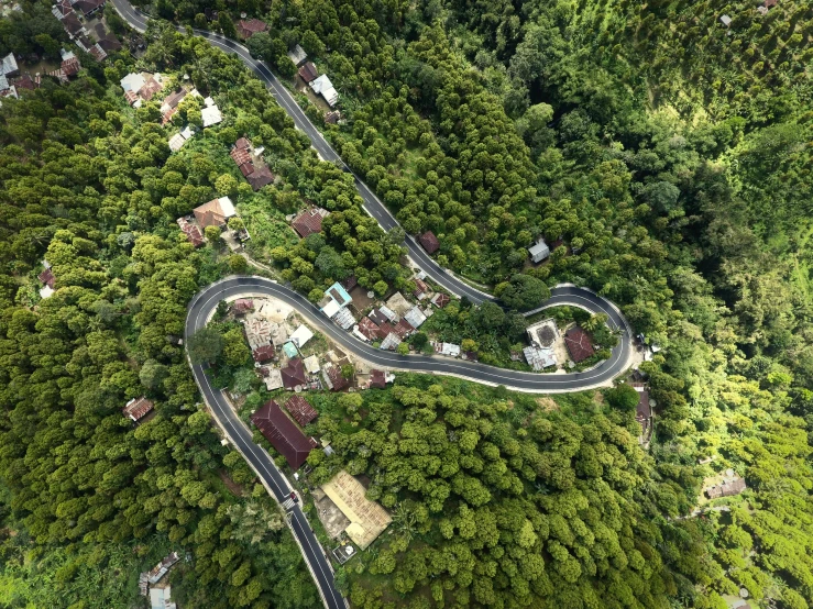 a winding road through the woods on an overhead view