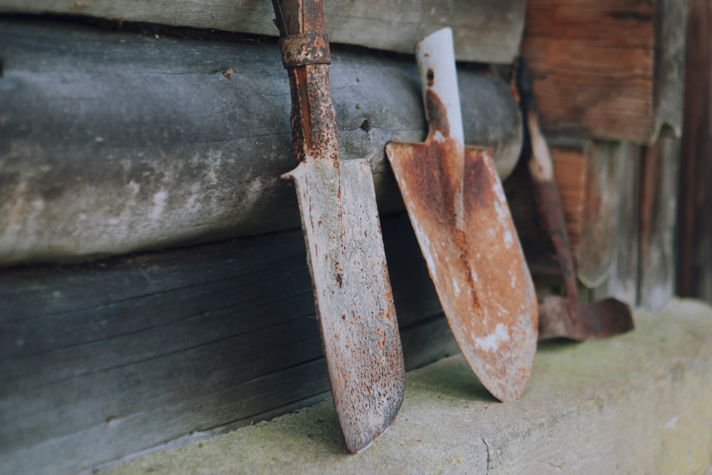 rusted plow hooks with old planks mounted on a wall