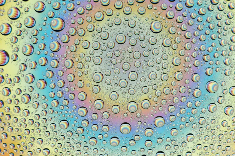 several drops of dew that appear to have formed an elaborate pattern