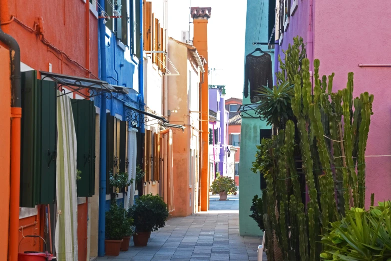 a walkway in front of colorful buildings with green plants