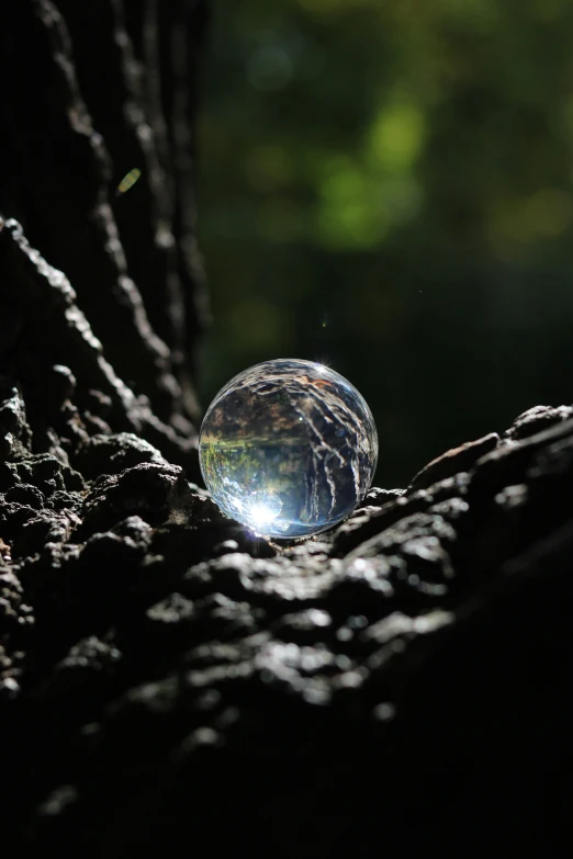 a large crystal ball hanging from a tree