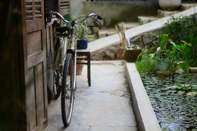 the bike is parked outside of the home with potted plants