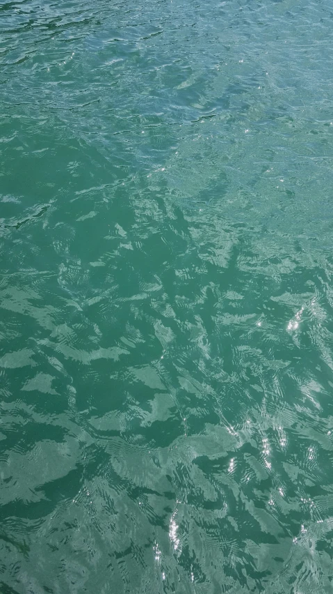 the green water has small white bubbles on it