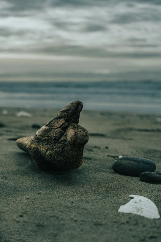 a fish skeleton on a beach with a cloudy sky