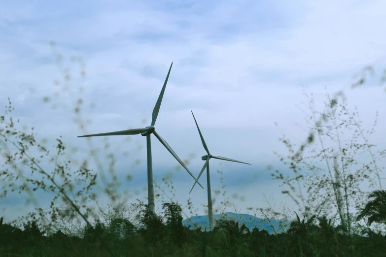 several wind turbines in a field on the side of the road