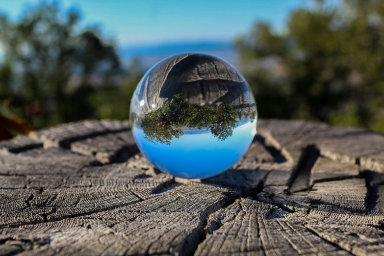 a glass ball with trees in it