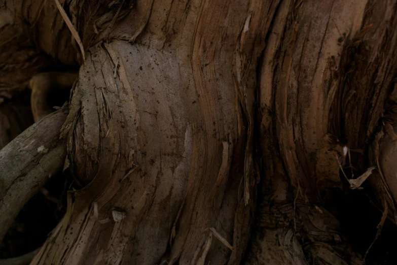 the bird is perched on top of the tree trunk