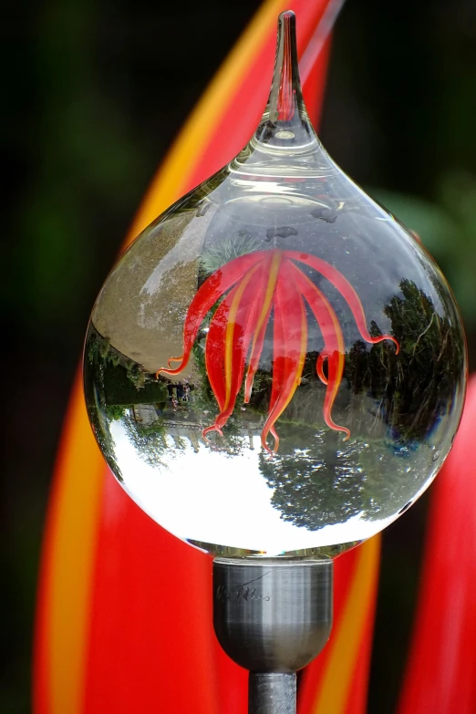 a round mirror with an image of a flower in it