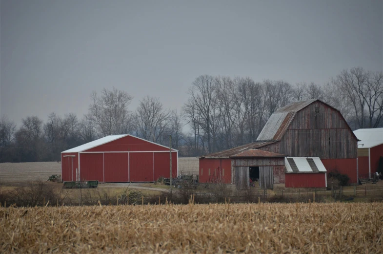 two barns and a field in a country