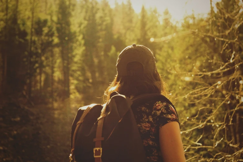 a person walks through the woods near some trees