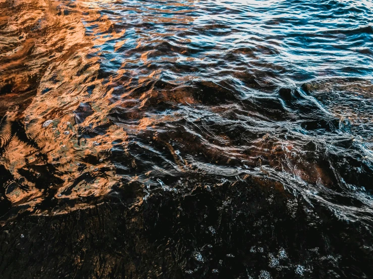 some water and grass are reflecting the sky