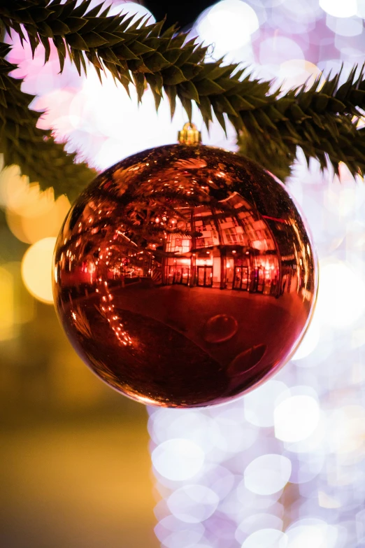 the glass ball hanging from the tree is reflecting lights