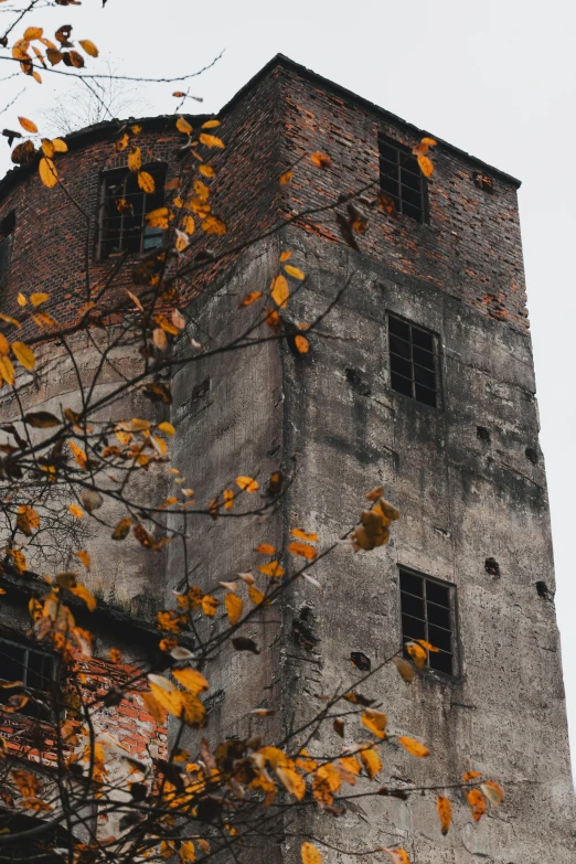 a tall brick tower with windows surrounded by leaves