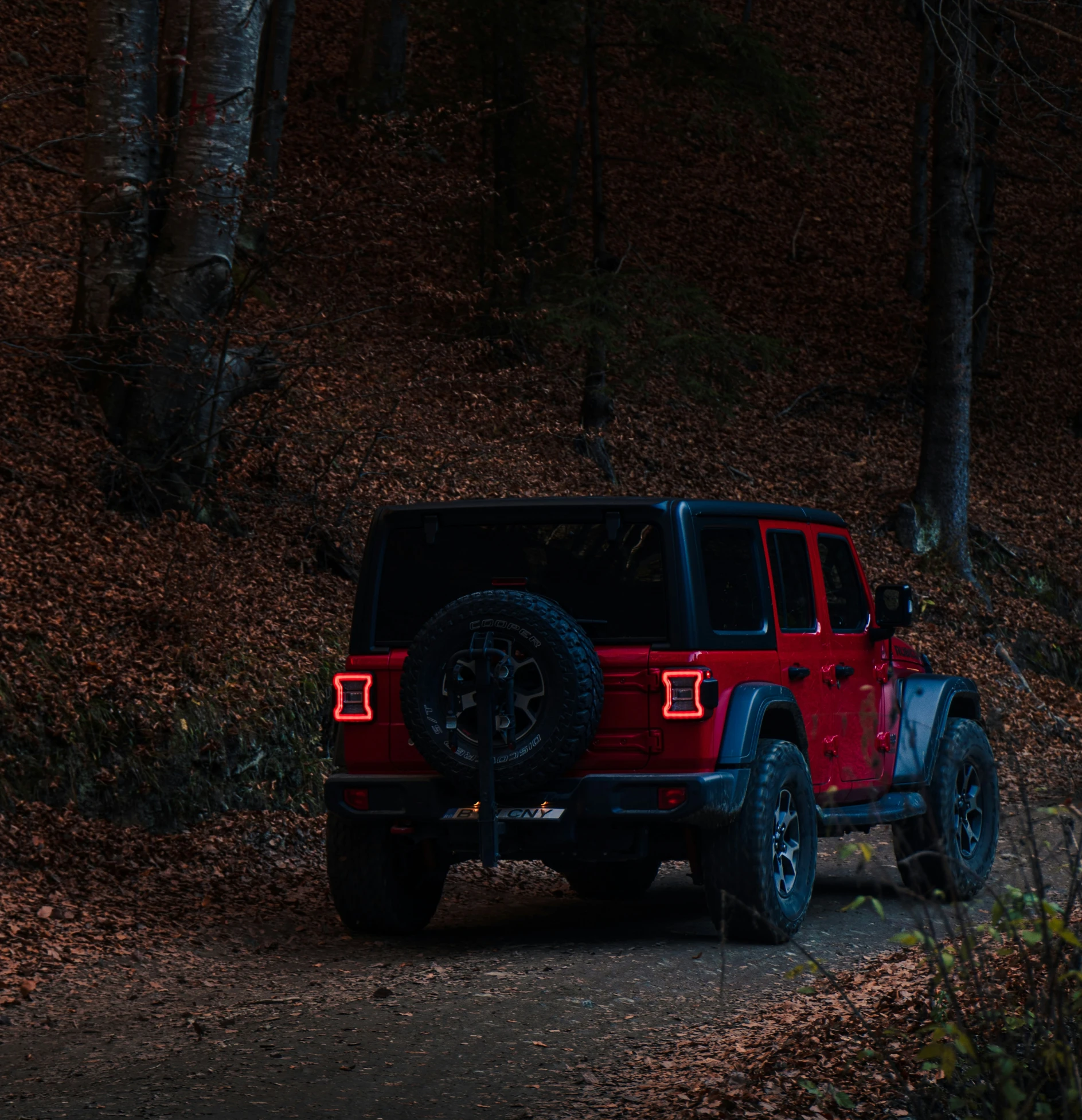 a red jeep parked in a forest at night