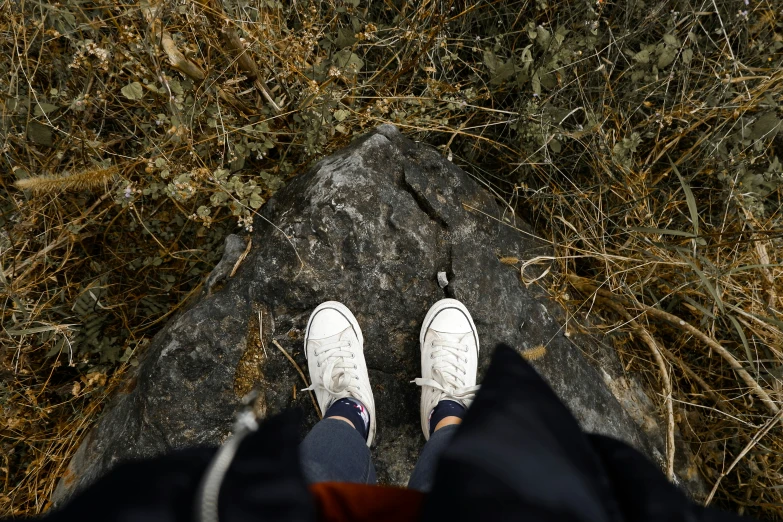 legs with sneakers standing on a rock surrounded by grass and trees