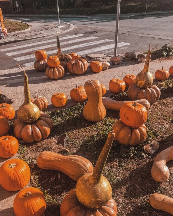 a number of pumpkins stacked on the ground