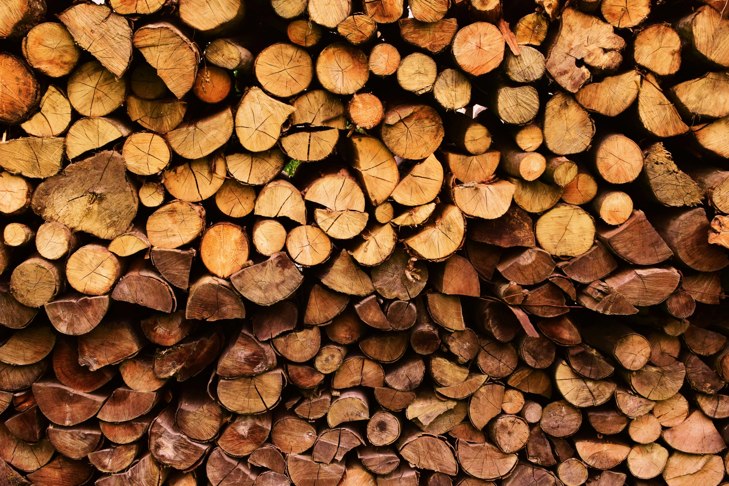 a wall full of logs is seen here