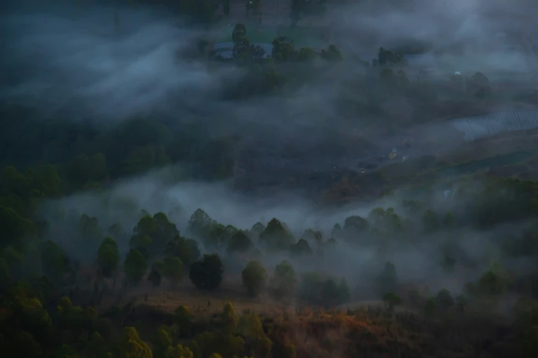 the fog is covering trees and hills