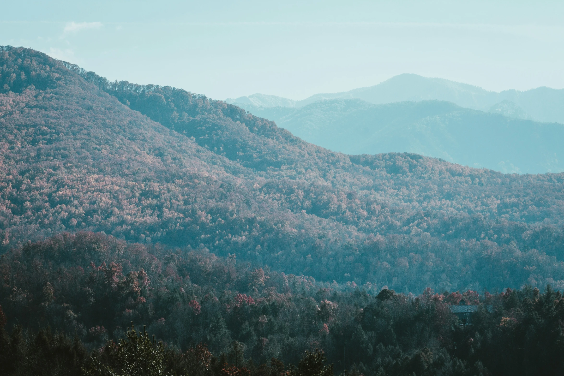 a mountain landscape with trees in the foreground and hazy sky