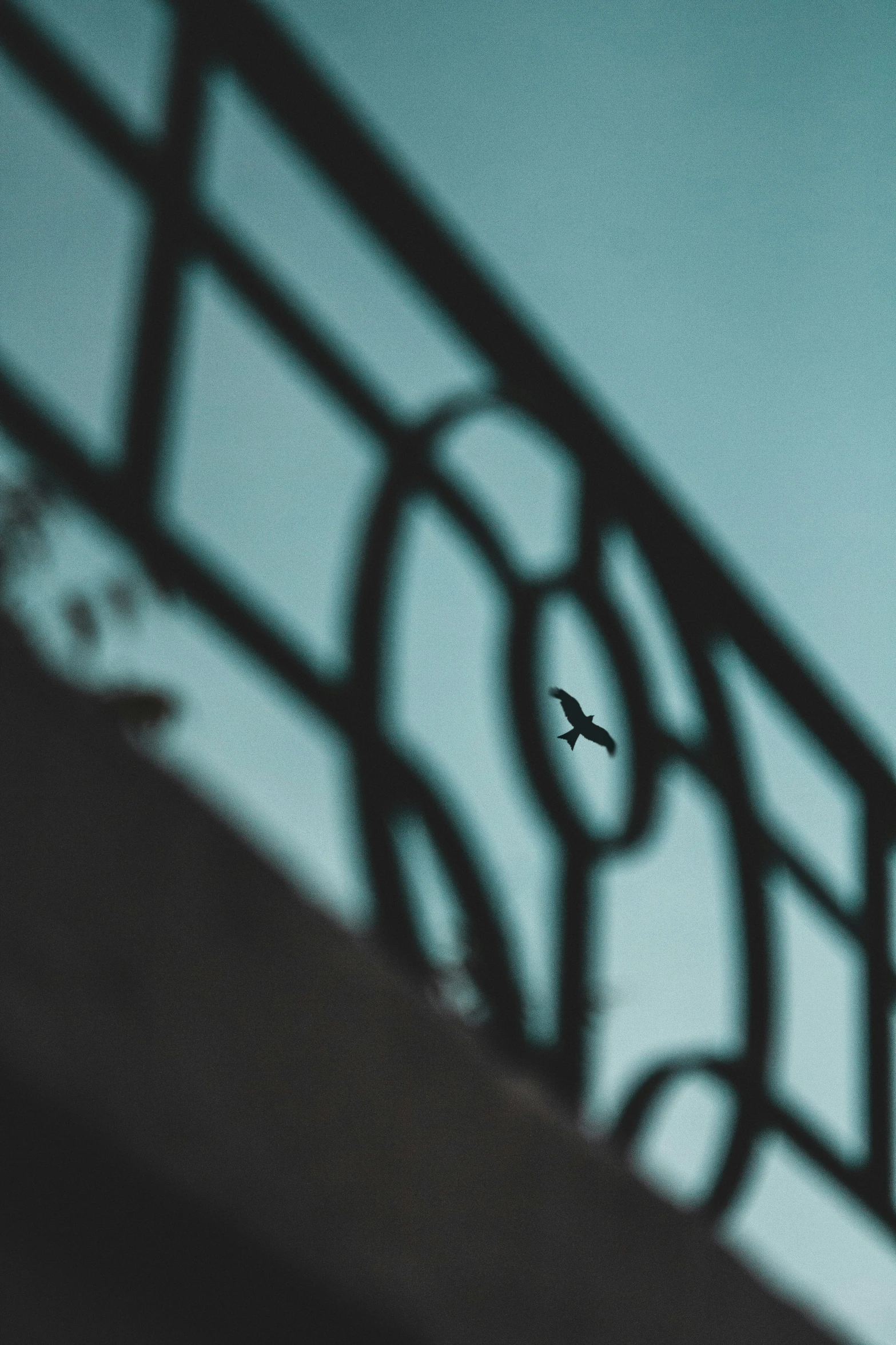 a black and white po of an airplane flying in the sky