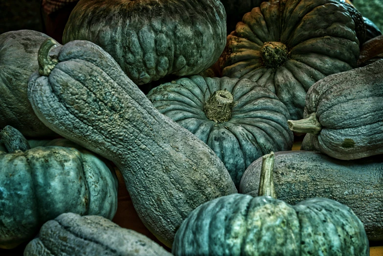 various sized pumpkins gathered together near one another