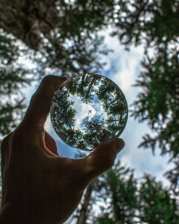 a hand holding a glass ball in front of trees