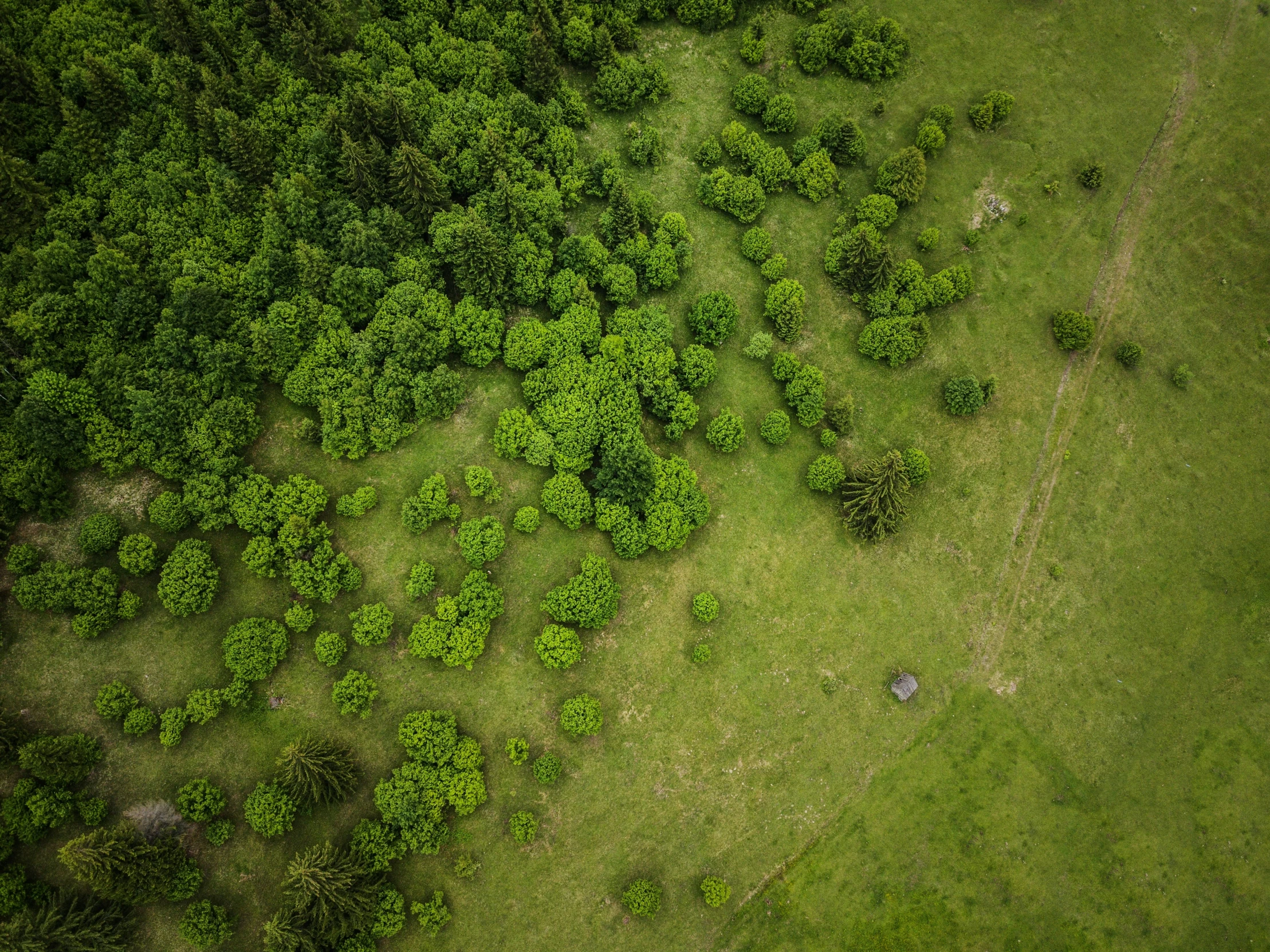 an aerial view of green grass and a field