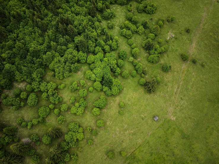 an aerial view of green grass and a field