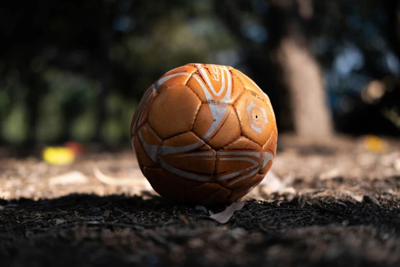 a soccer ball sitting in the dirt next to trees