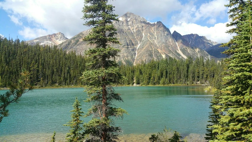 view from the trail overlooking a lake and mountains