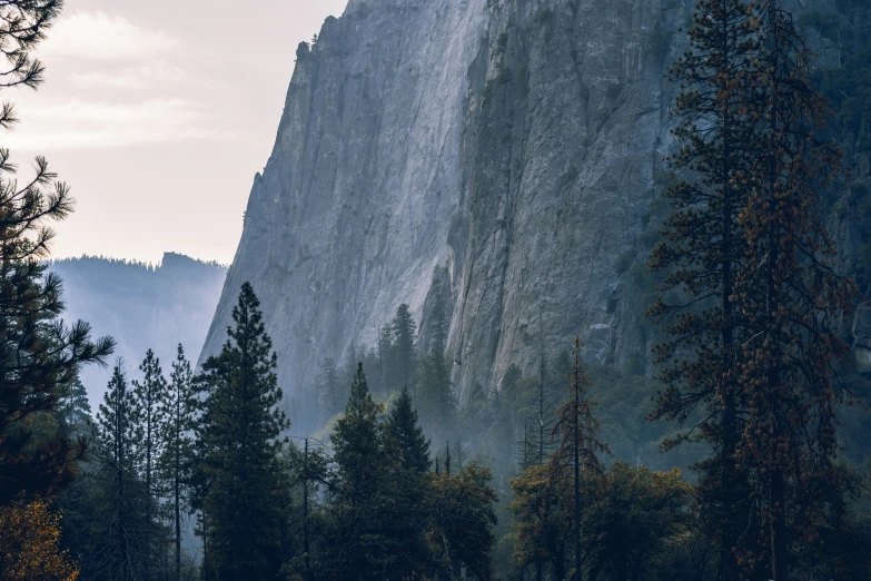 a large rock is behind the trees