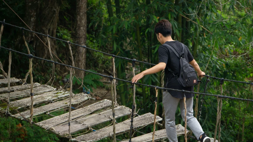 a person walking across a suspension bridge that runs through a forest