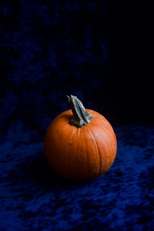 a pumpkin is shown on a dark blue background