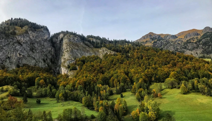 this is a picture of some rocks and trees