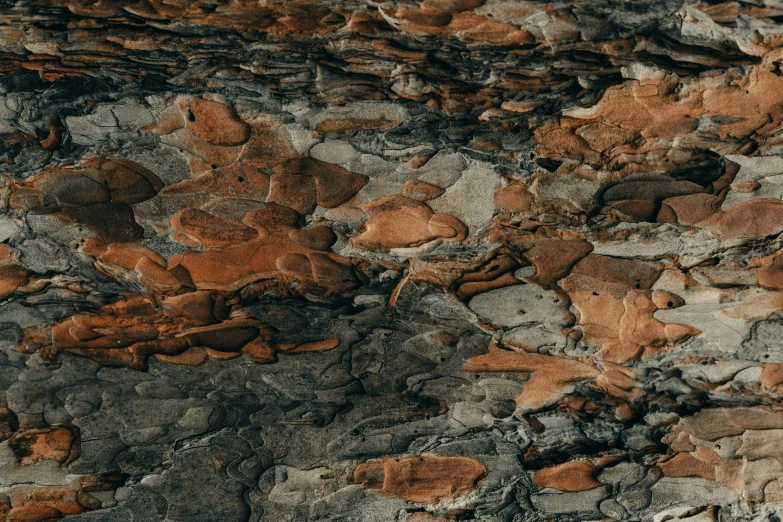 an image of a bunch of rocks that look like a painting