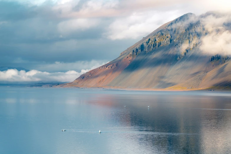 the birds are swimming in the lake with a mountain behind it